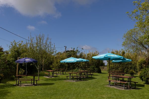 The Barley Sheaf