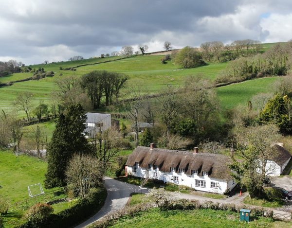 Brace of Pheasants Country Inn